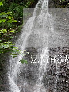 法院能减免加处罚款吗 法院能减免加处罚款吗