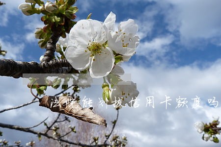 法院能划拔信用卡额度吗 法院能划拔信用卡额度吗