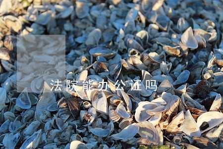 法院能办公证吗 法院能办公证吗