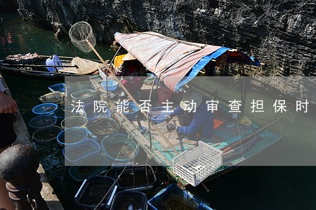 法院能否主动审查担保时效 法院能否主动审查担保时效