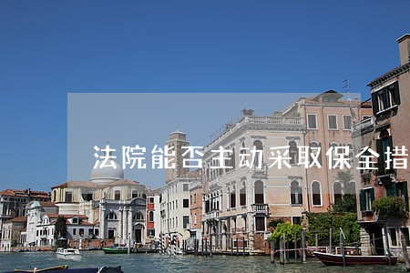 法院能否主动采取保全措施