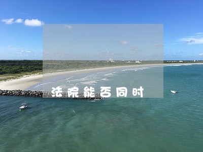 法院能否同时