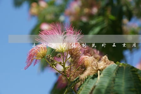 法院能否强制执行工业用地使用权 法院能否强制执行工业用地使用权