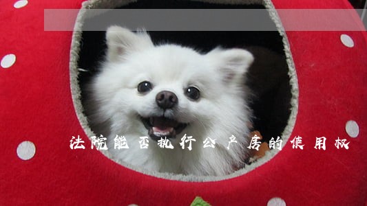 法院能否执行公产房的使用权