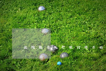 法院能否执行被代持方的股权