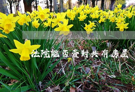法院能否查封共有房屋 法院能否查封共有房屋