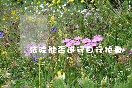法院能否进行自行侦查