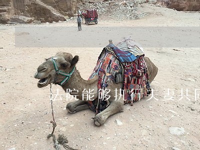 法院能够执行夫妻共同财产吗 法院能够执行夫妻共同财产吗