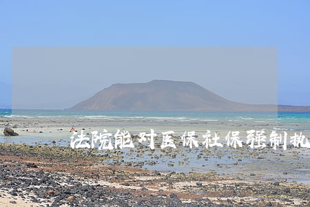 法院能对医保社保强制执行吗 法院能对医保社保强制执行吗