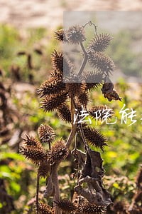 法院能封微信资金 法院能封微信资金