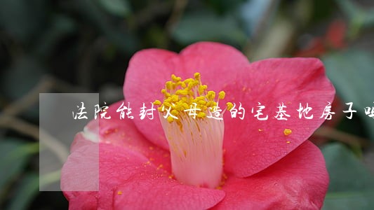 法院能封父母造的宅基地房子吗 法院能封父母造的宅基地房子吗
