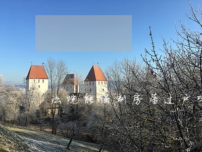 法院能强制房屋过户吗 法院能强制房屋过户吗