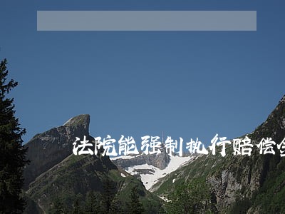 法院能强制执行赔偿金 法院能强制执行赔偿金