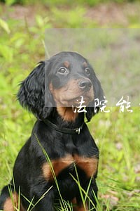 法院能扣养老保险金吗