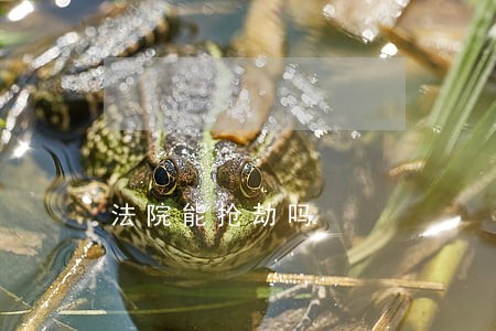法院能抢劫吗 法院能抢劫吗