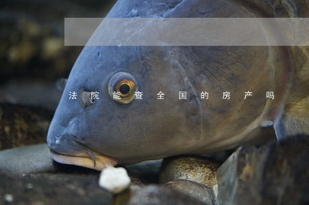 法院能查全国的房产吗