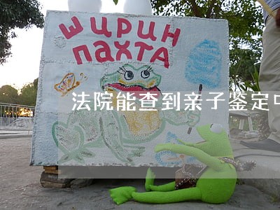 法院能查到亲子鉴定中心的结果吗