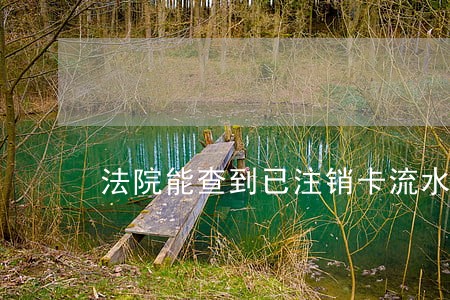 法院能查到已注销卡流水吗 法院能查到已注销卡流水吗