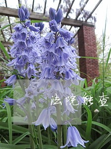 法院能查到网签房吗 法院能查到网签房吗