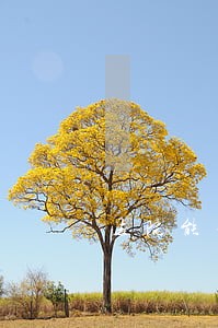 法院能查到被告配偶得信息吗 法院能查到被告配偶得信息吗