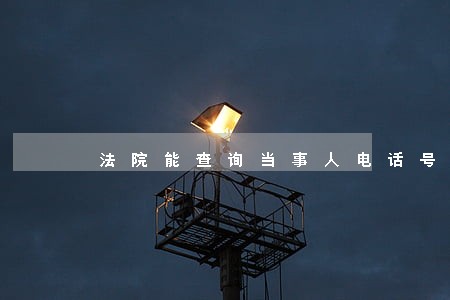 法院能查询当事人电话号码 法院能查询当事人电话号码