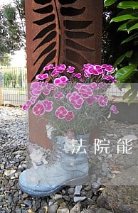 法院能直接冻结扣划 法院能直接冻结扣划