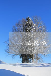 法院能看别人聊天记录 法院能看别人聊天记录
