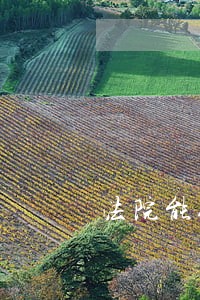 法院能给免罪吗 法院能给免罪吗