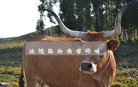 法院能给请律师吗 法院能给请律师吗