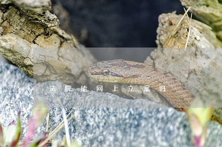 法院能网上立案吗 法院能网上立案吗