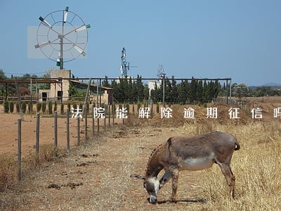 法院能解除逾期征信吗 法院能解除逾期征信吗