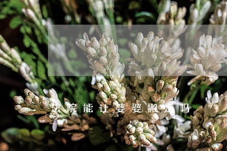 法院能让婆婆搬走吗 法院能让婆婆搬走吗