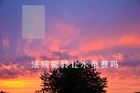 法院能转让水电费吗