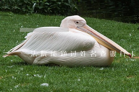 法院能通过姓名查银行卡吗 法院能通过姓名查银行卡吗
