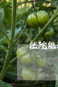 法院能验出吸毒吗