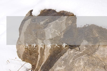 法院自传入党 法院自传入党