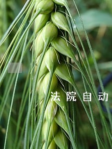 法院自动划款怎么办 法院自动划款怎么办