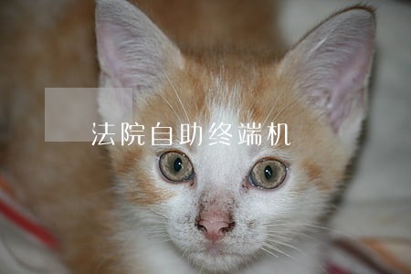法院自助终端机