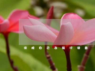 法院自己去银行调查 法院自己去银行调查