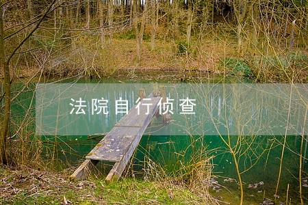 法院自行侦查 法院自行侦查