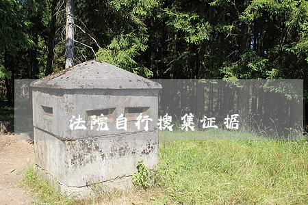 法院自行搜集证据 法院自行搜集证据