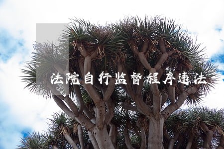 法院自行监督程序违法