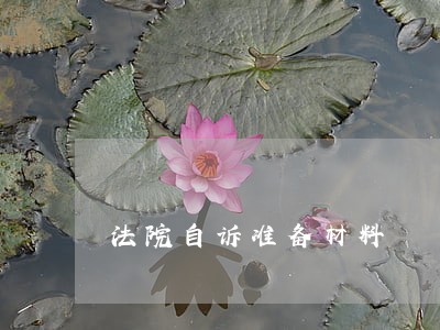 法院自诉准备材料 法院自诉准备材料