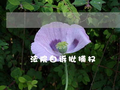 法院自诉批捕权