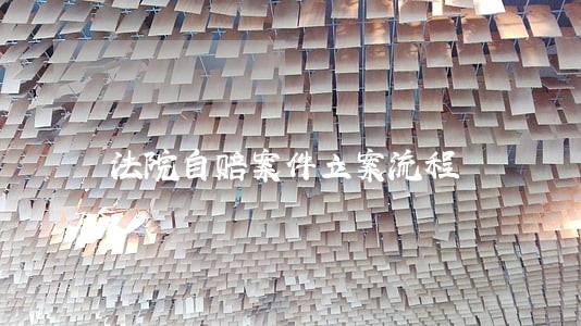 法院自赔案件立案流程 法院自赔案件立案流程