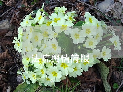 法院舆情简报