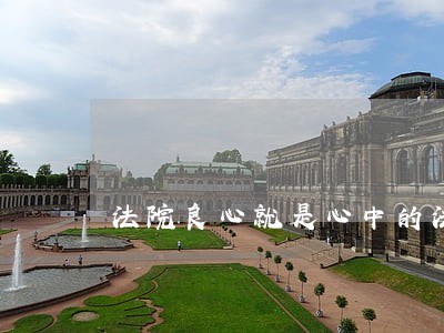 法院良心就是心中的法 法院良心就是心中的法