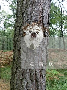 法院获个人三等功 法院获个人三等功