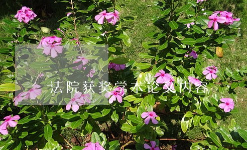 法院获奖学术论文内容 法院获奖学术论文内容