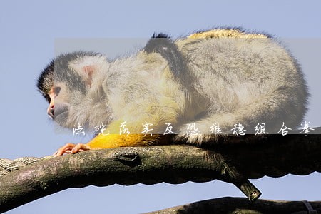 法院落实反恐维稳组合拳 法院落实反恐维稳组合拳